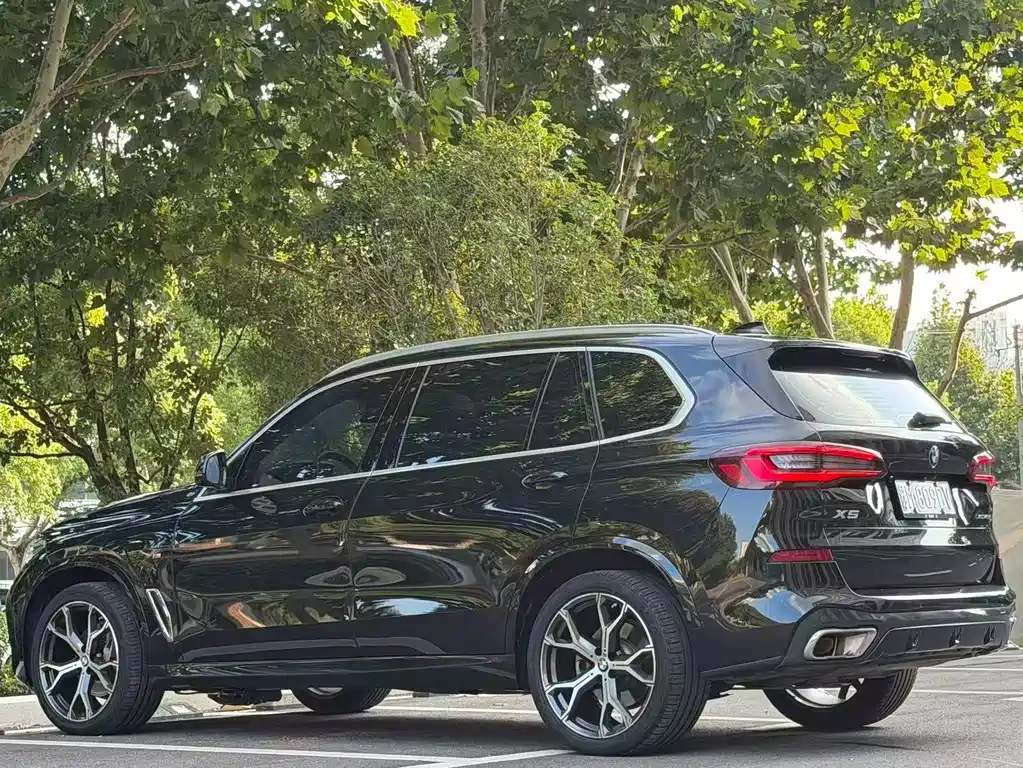 BMW X5 — миниатюра 7