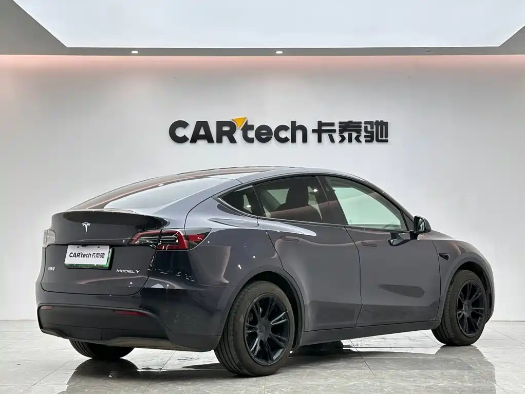 Tesla Model Y — миниатюра 5