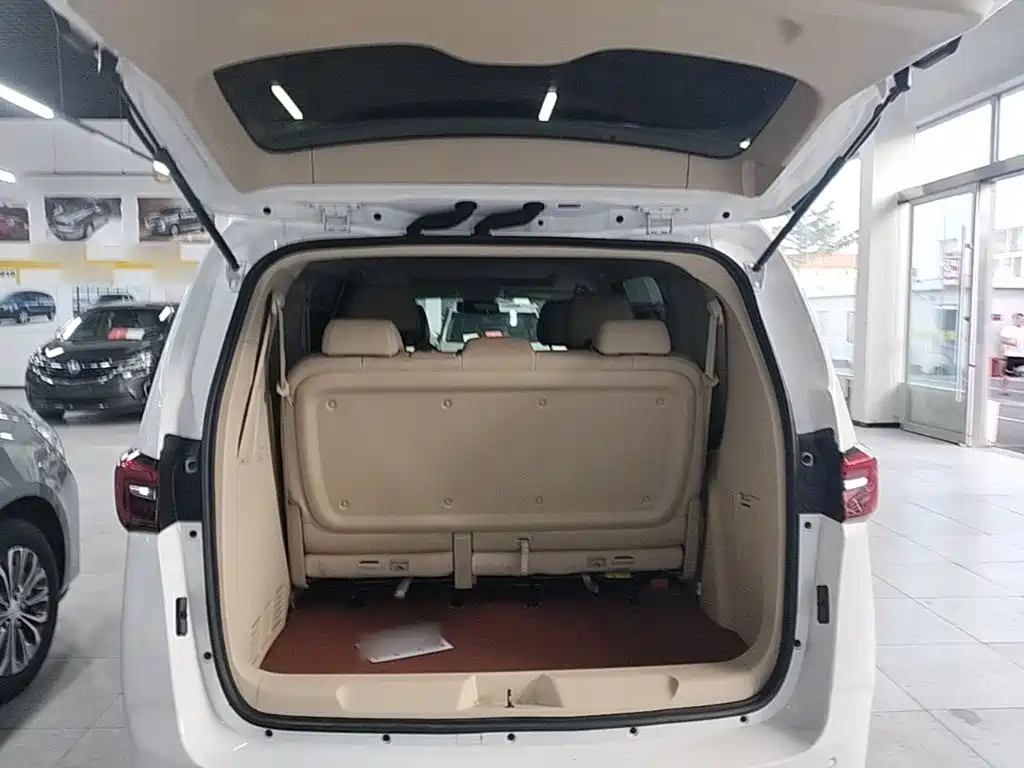 Buick GL8 — миниатюра 19