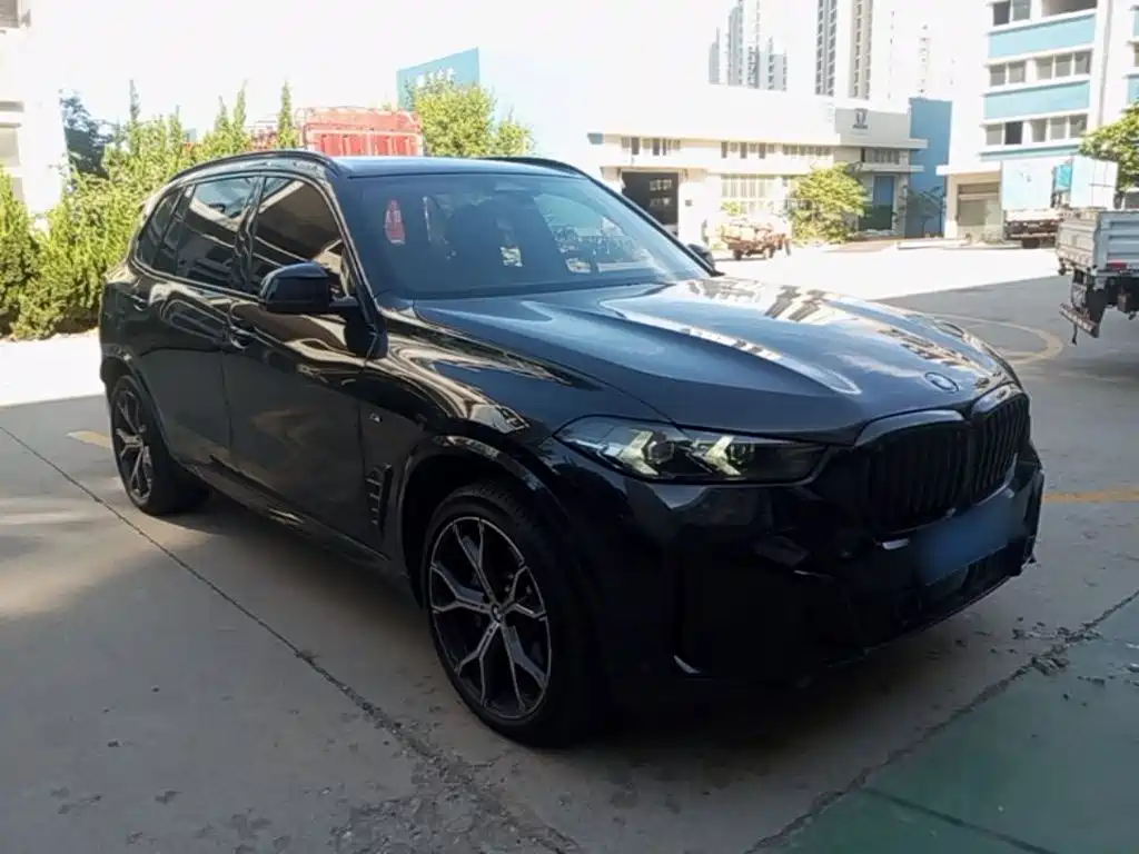 BMW X5 — миниатюра 4