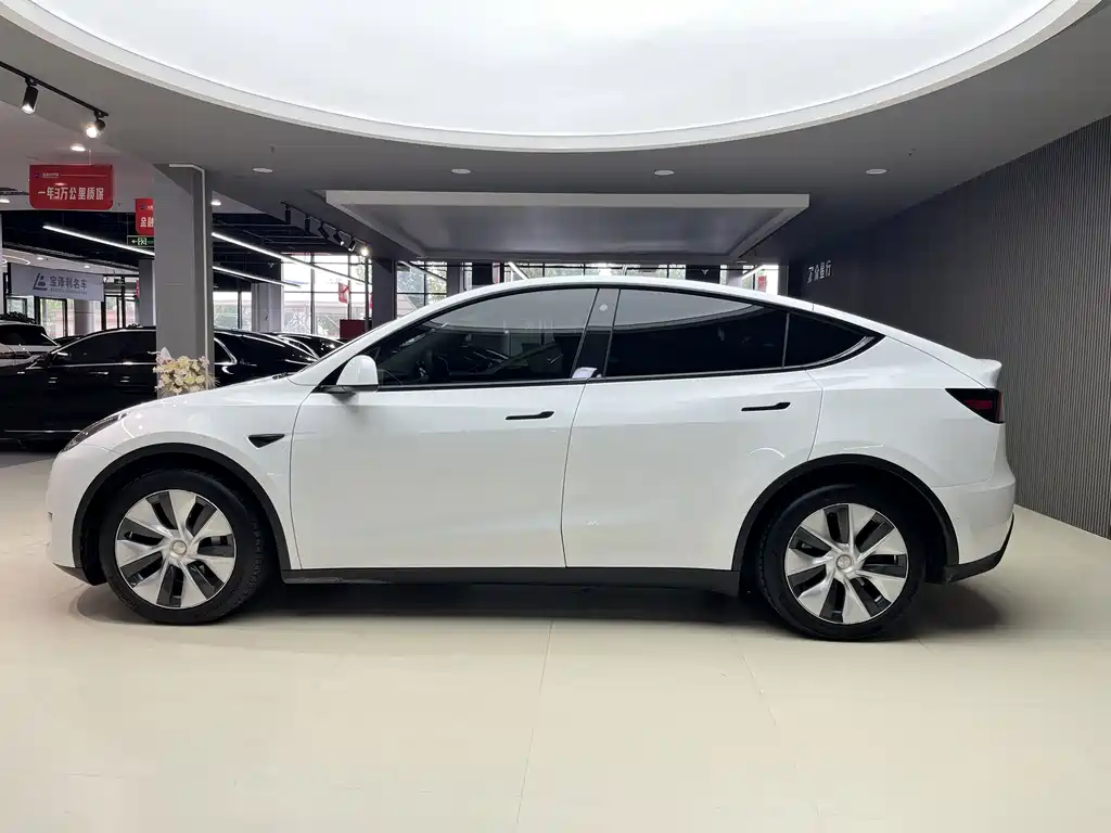 Tesla Model Y — миниатюра 3