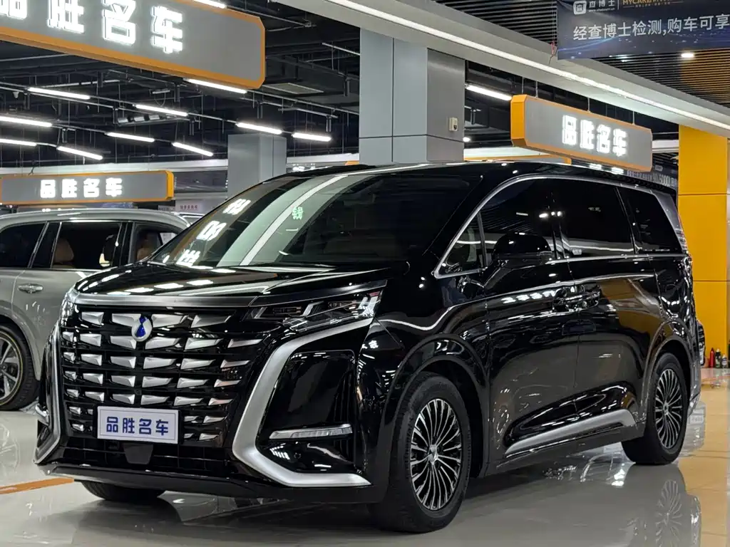 2025 Denza D9 - zdjęcie 1 z 20