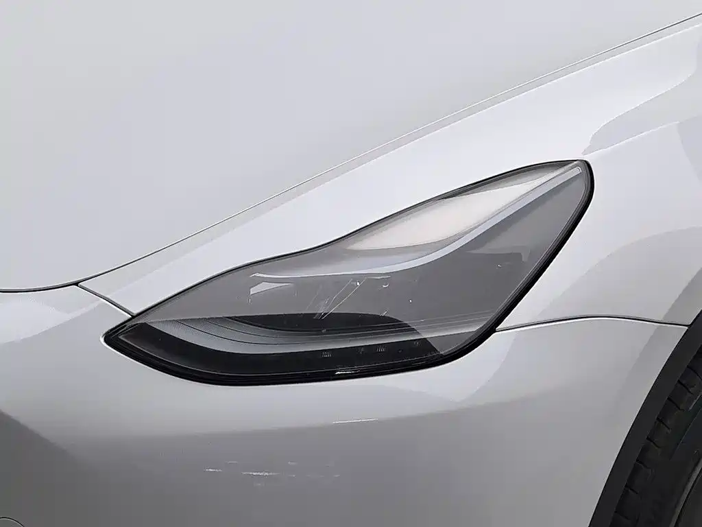 Tesla Model Y — миниатюра 7