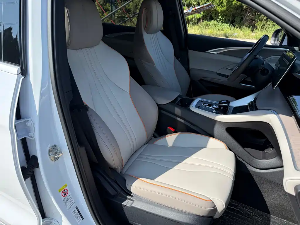 BYD Pro New Energy — миниатюра 12