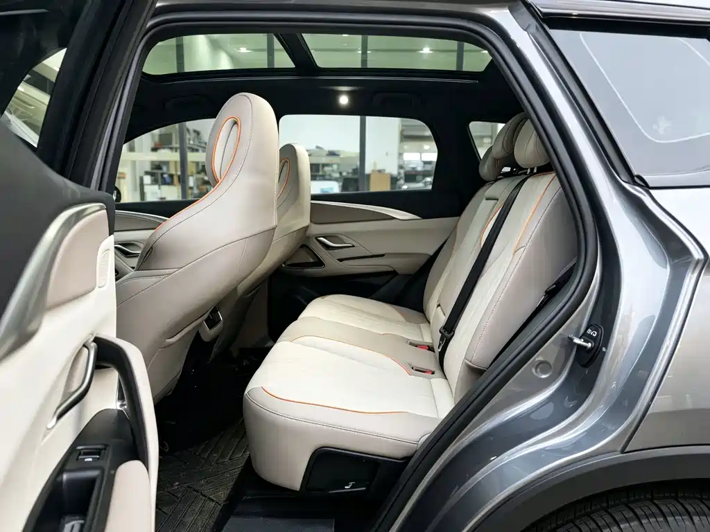 BYD Pro New Energy — миниатюра 11