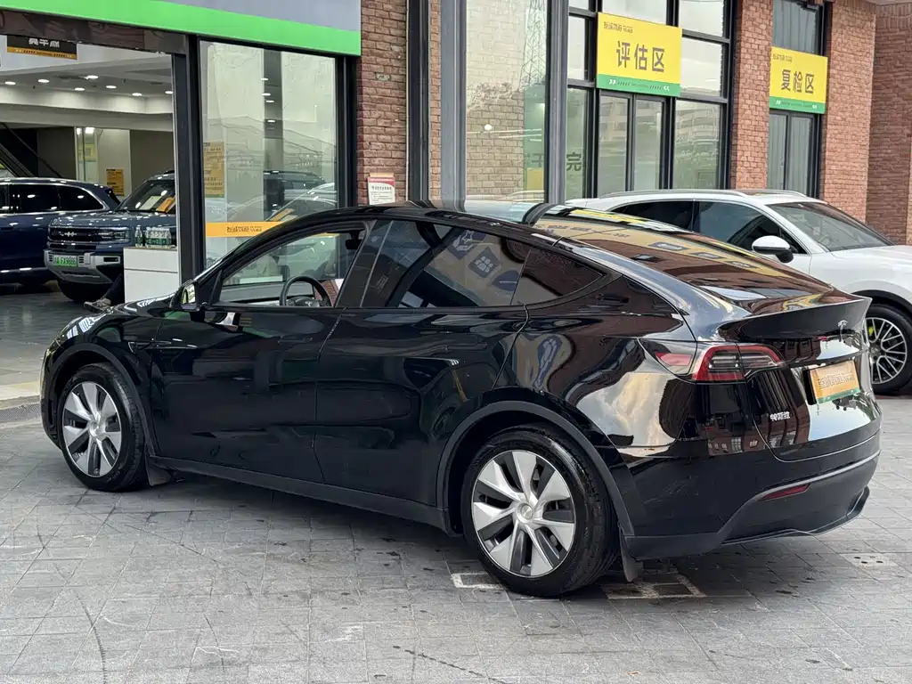 Tesla Model Y — миниатюра 6
