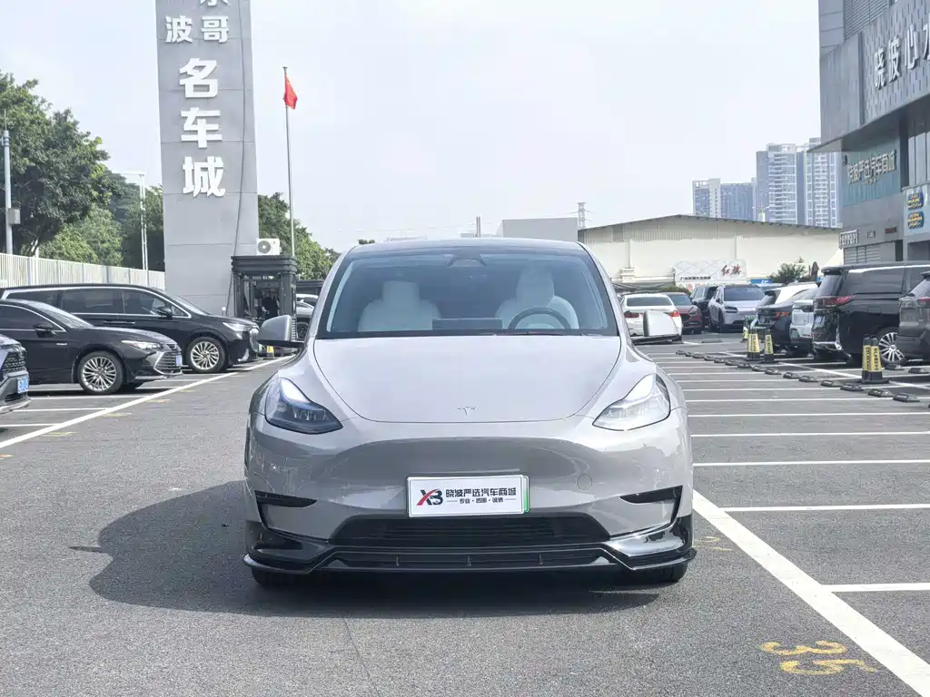 Tesla Model Y — миниатюра 2