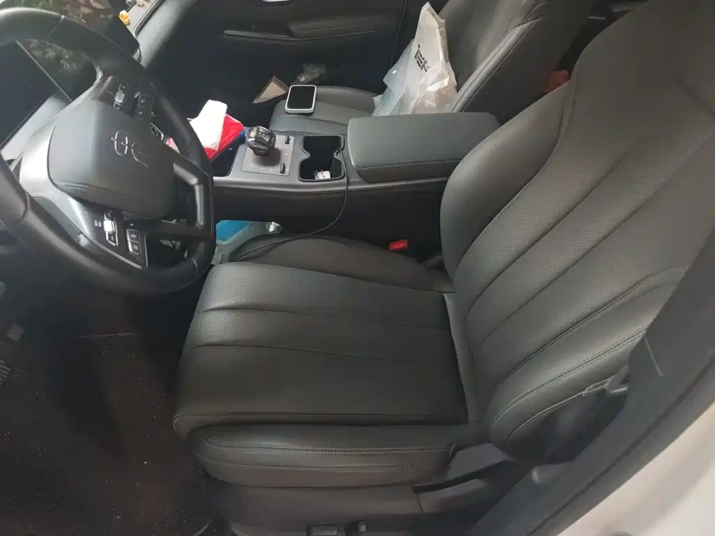 BYD Pro New Energy — миниатюра 16