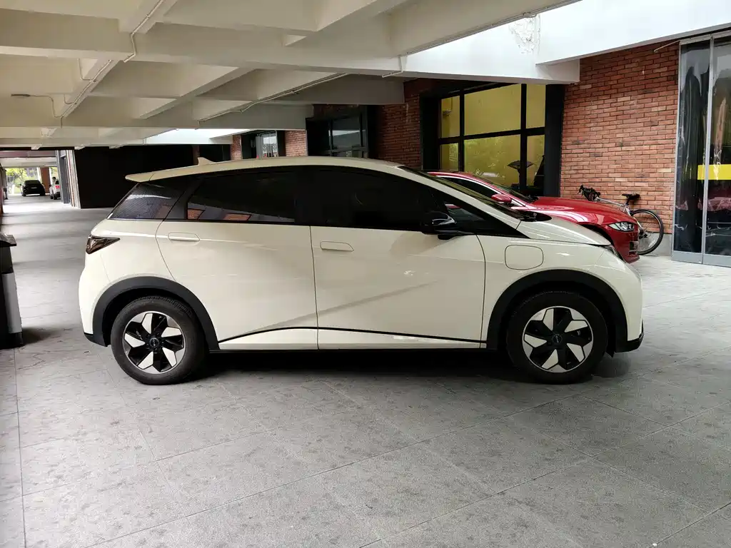 BYD Dolphin 2025 420km Freedom