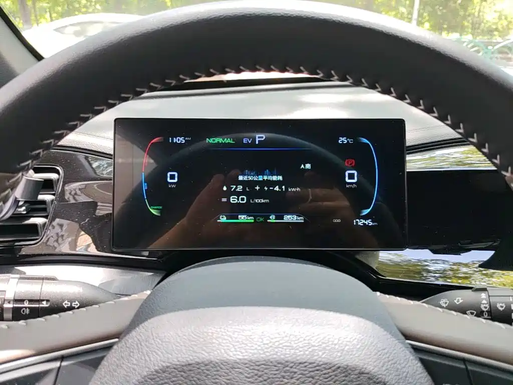 BYD Qin Plus PLUS 2024 DM-i 55KM Lead