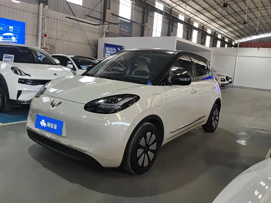 Wuling Bingo 2024