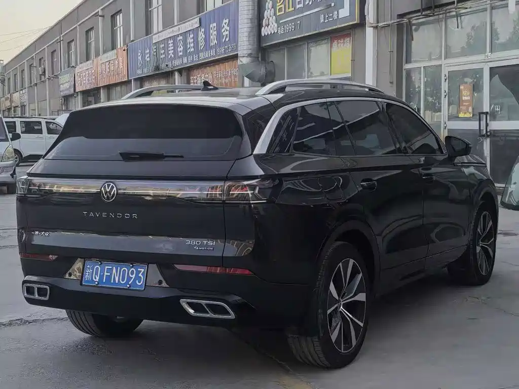 Volkswagen Tavendor — миниатюра 3