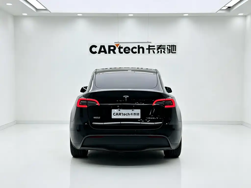 Tesla Model Y — миниатюра 7