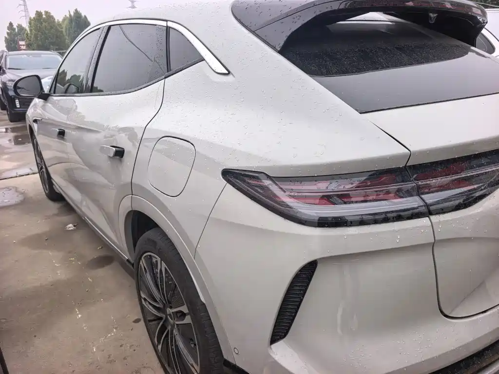 Denza Denza N7 — миниатюра 7