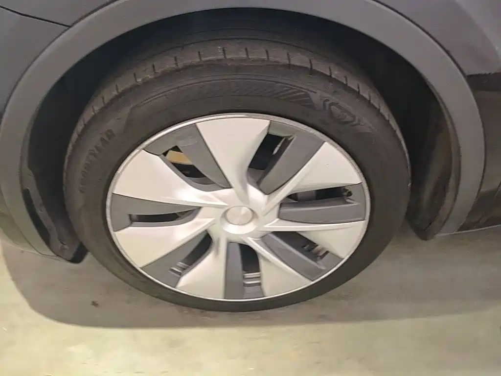 Tesla Model Y — миниатюра 23