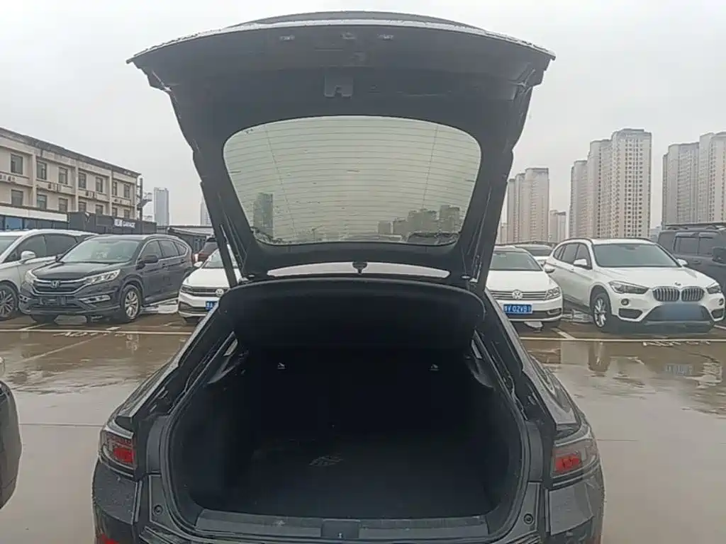 Volkswagen Lamando — миниатюра 19