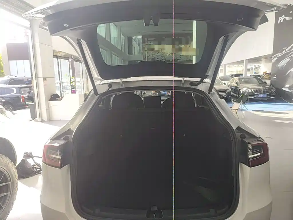 Tesla Model Y — миниатюра 19
