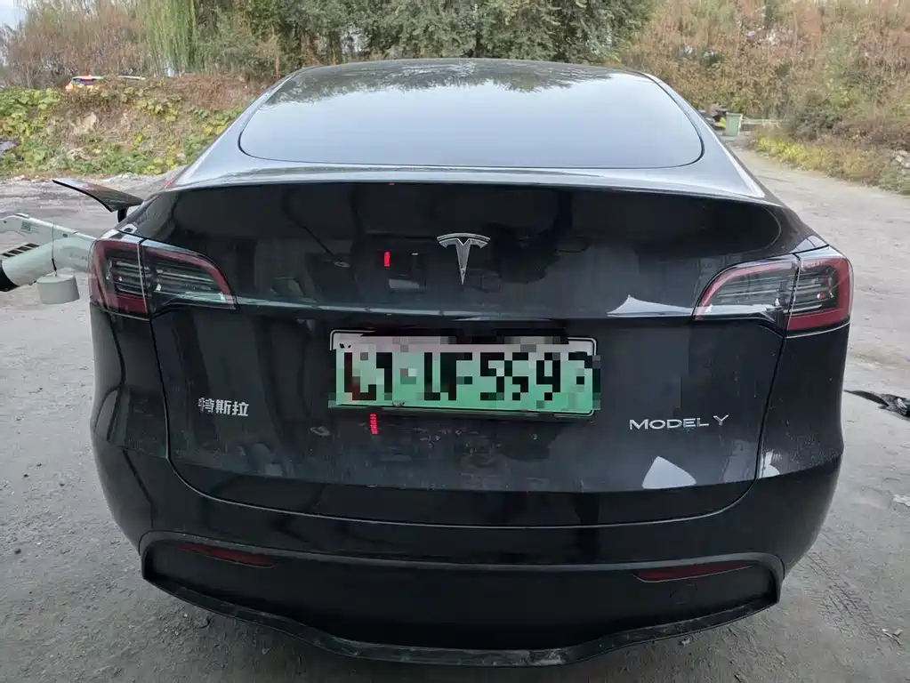 Tesla Model Y — миниатюра 3