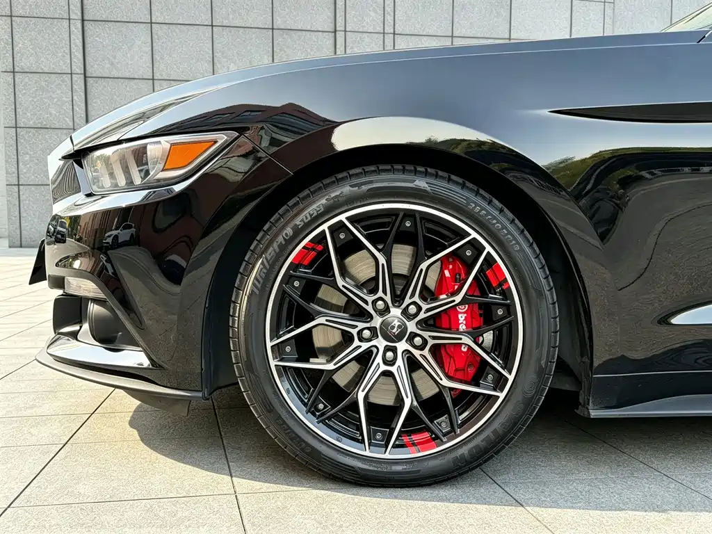 Ford Mustang — миниатюра 17