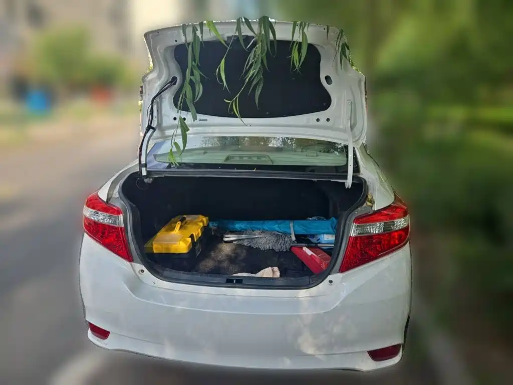 Toyota Vios — миниатюра 16