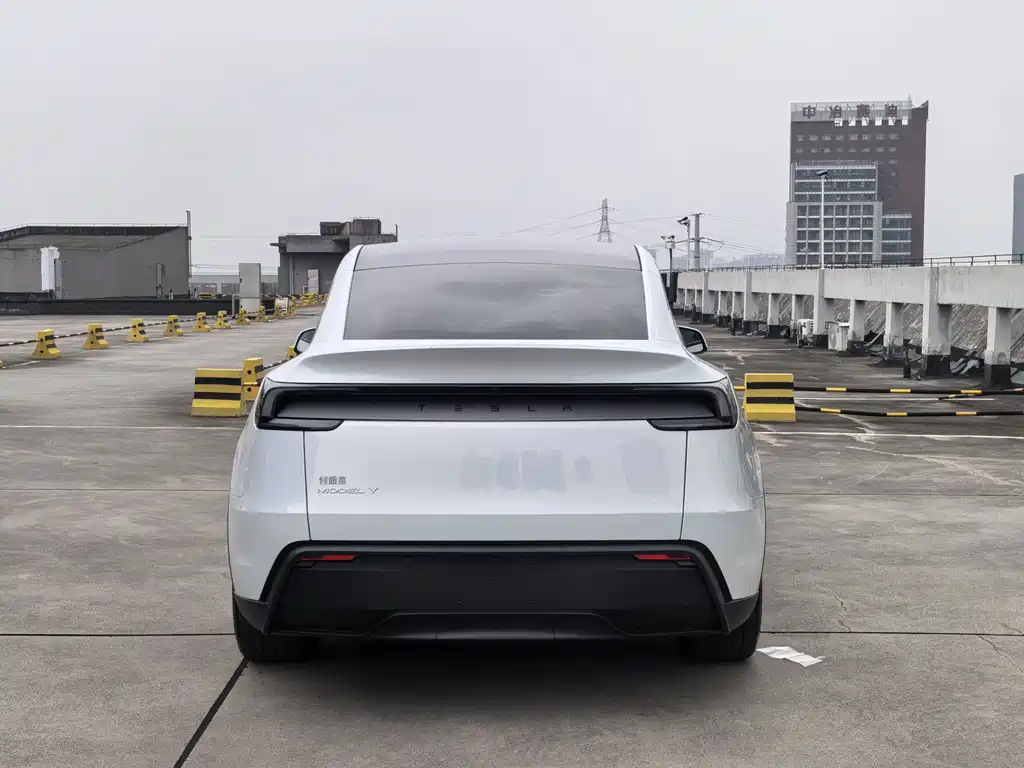 Tesla Model Y — миниатюра 8