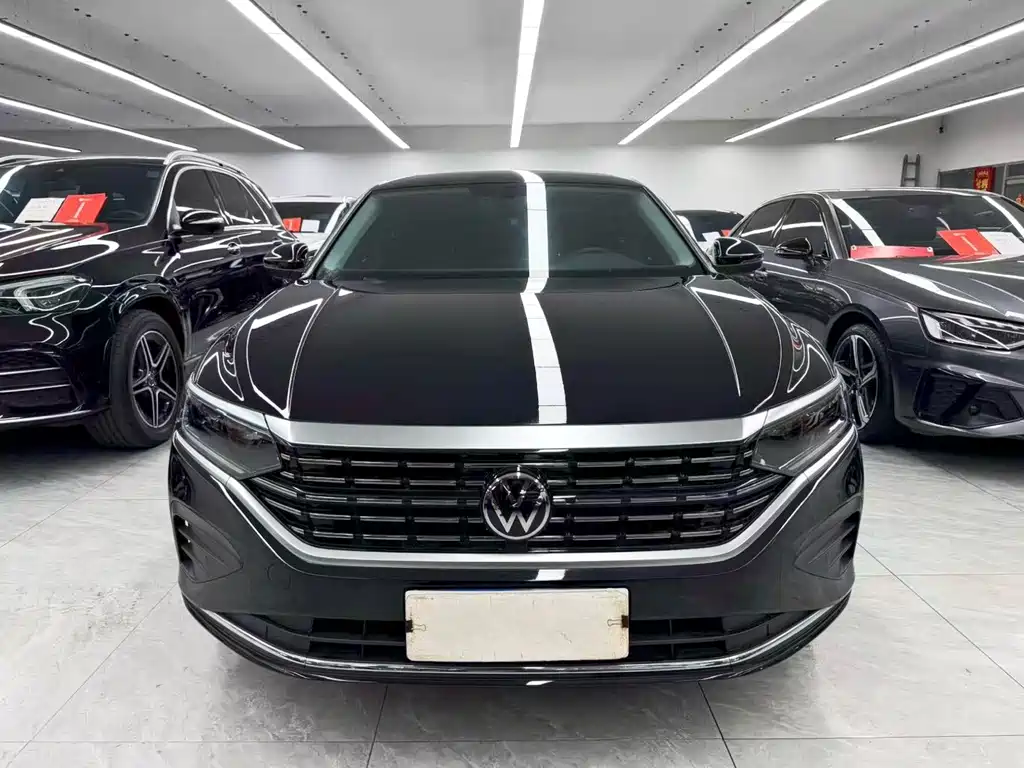 Volkswagen Passat — миниатюра 2