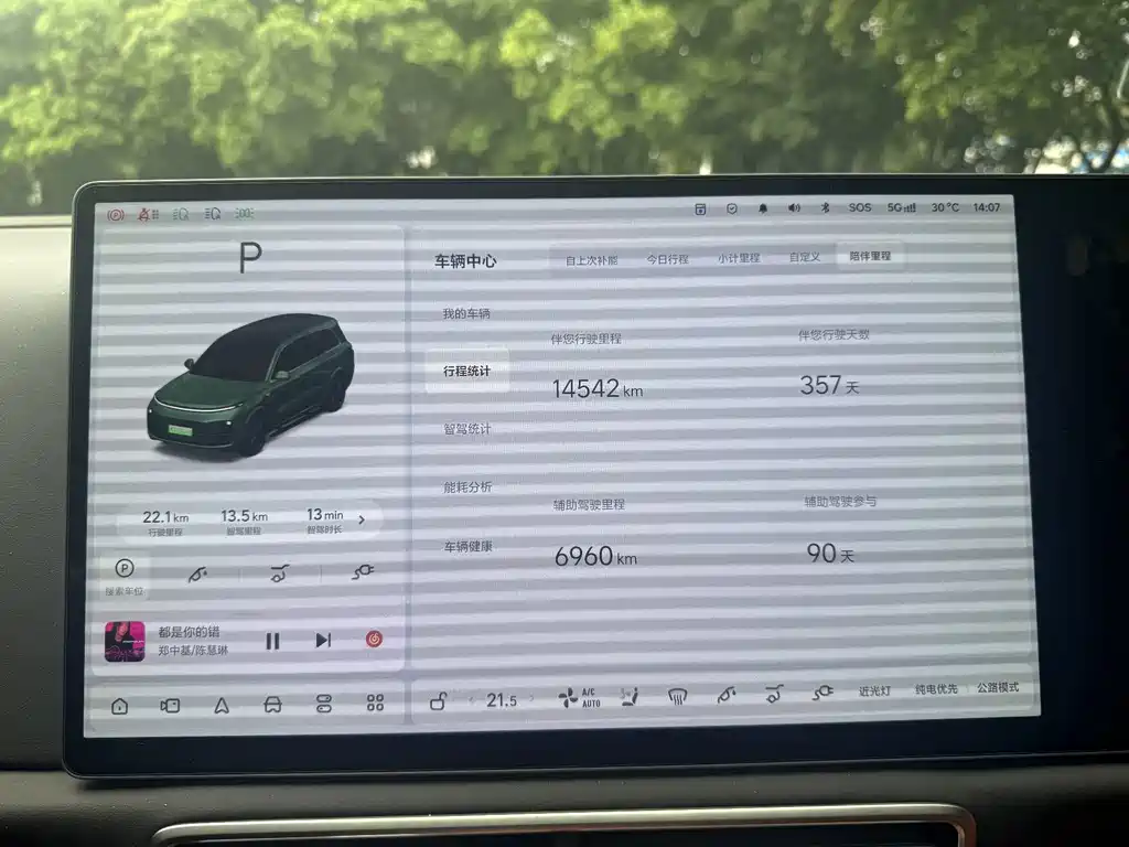 Li Auto Li L9 — миниатюра 17