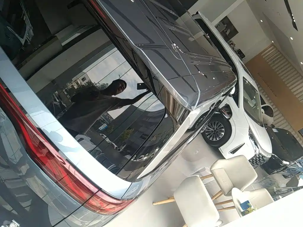 BYD Xia 2025 DM-i 1.5T 180km