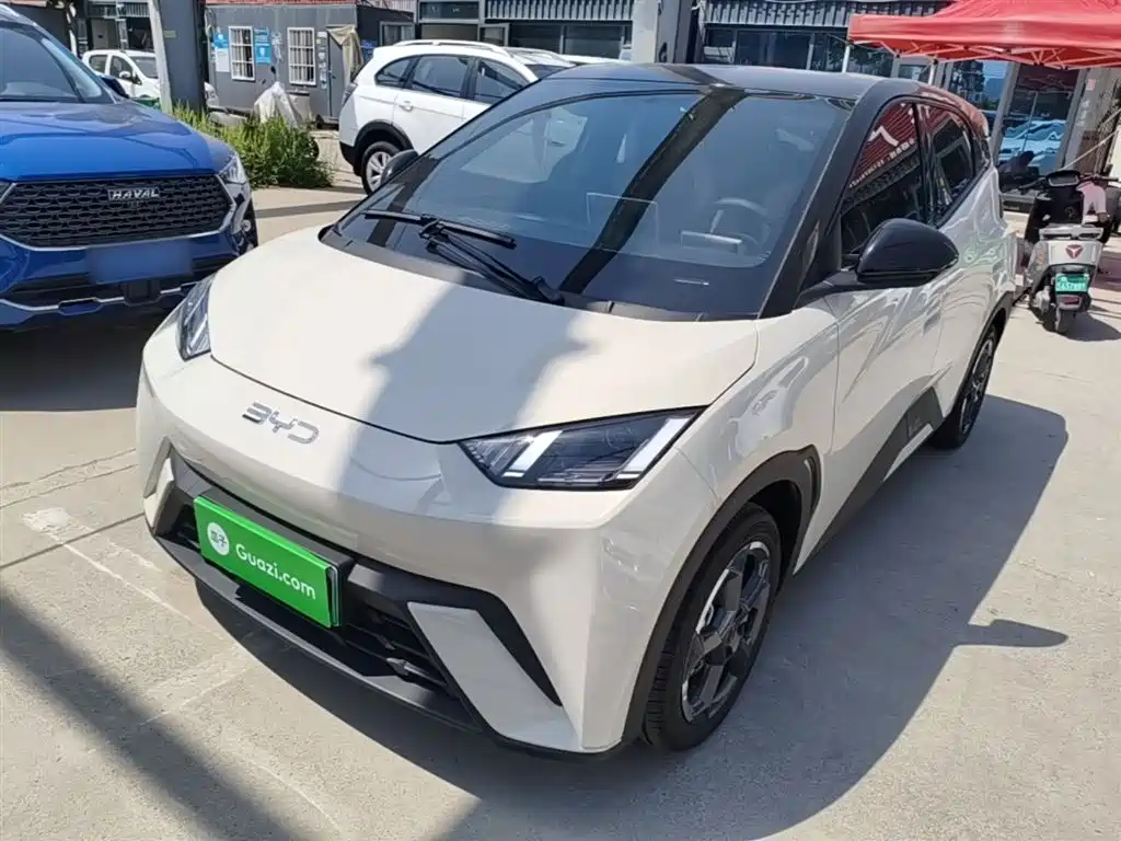 Byd Seagull 2024