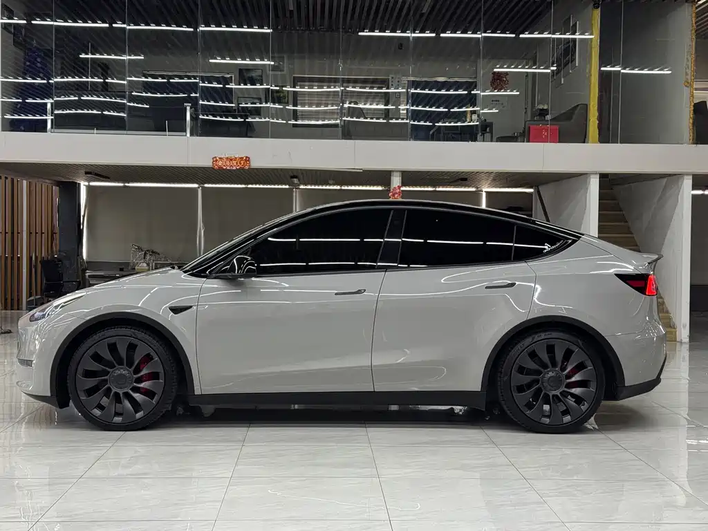 Tesla Model Y — миниатюра 4