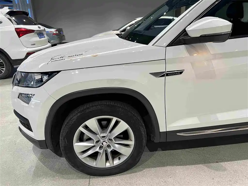 Skoda Kodiaq — миниатюра 6