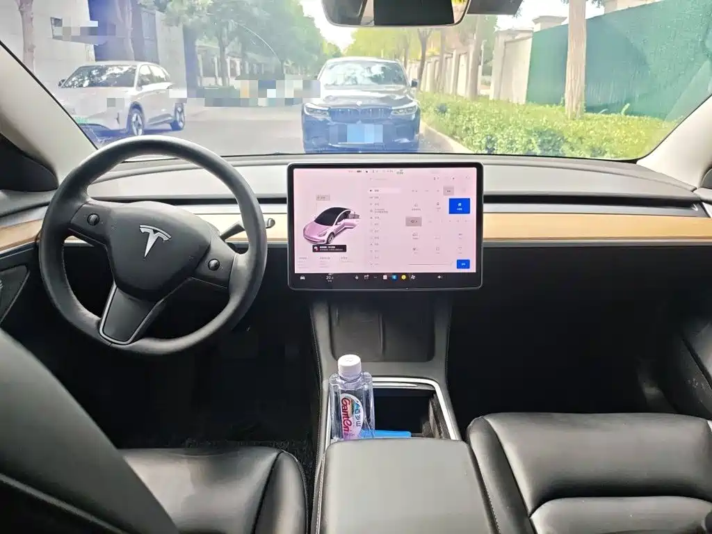 Tesla Model 3 — миниатюра 13