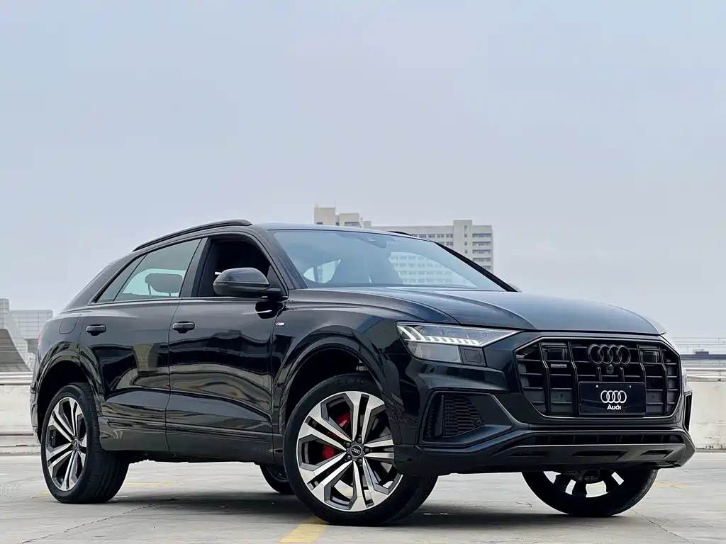 Audi Q8 2023 55 TFSI Premium