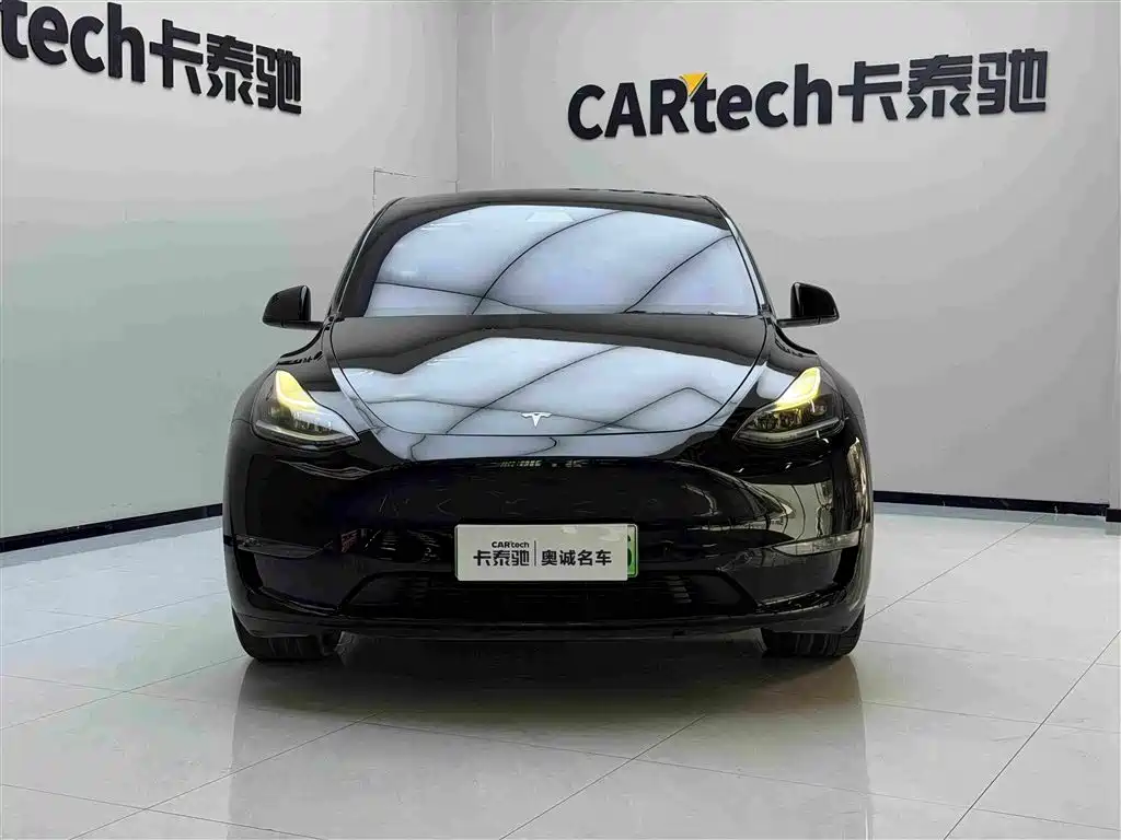 Tesla Model Y — миниатюра 2
