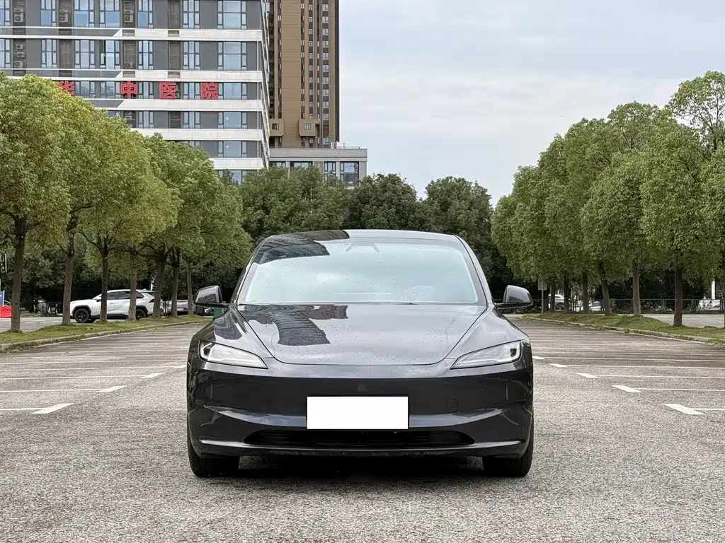 Tesla Model 3 — миниатюра 2
