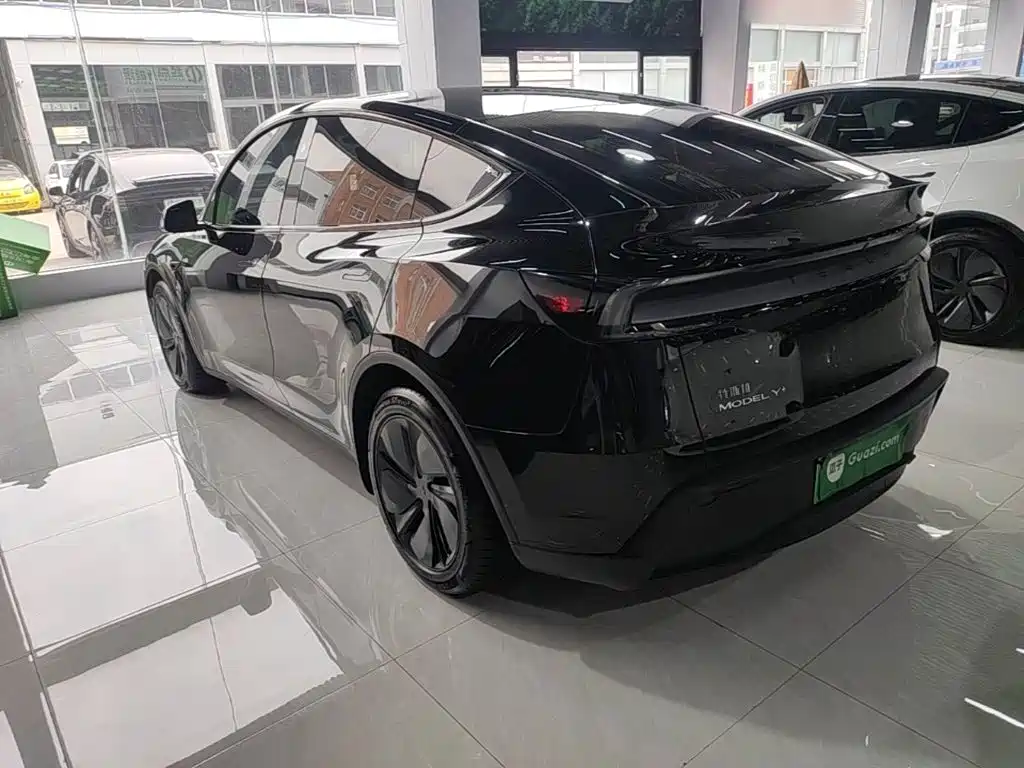Tesla Model Y — миниатюра 5