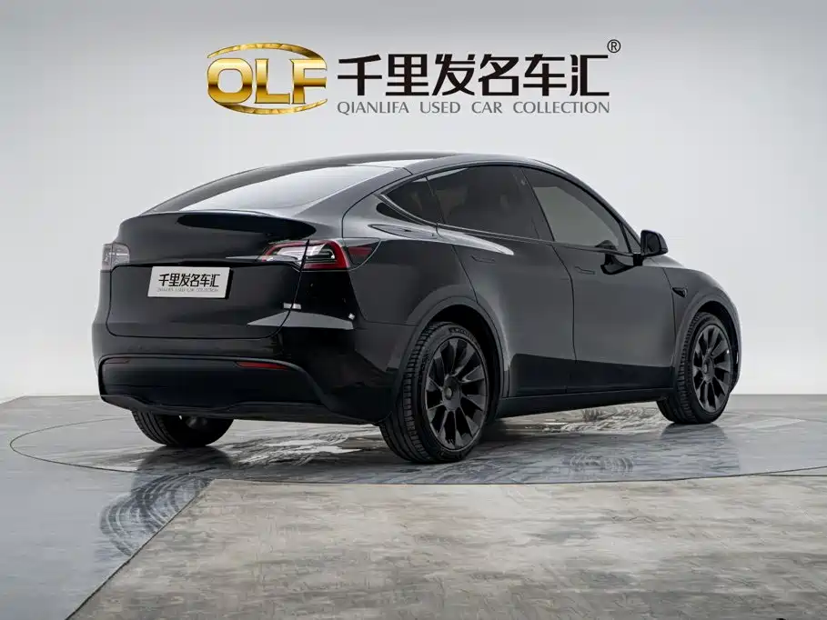 Tesla Model Y — миниатюра 4