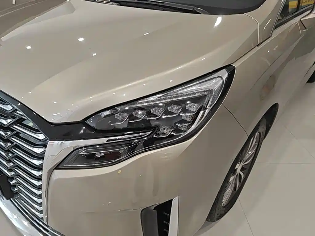 Buick GL8 — миниатюра 24