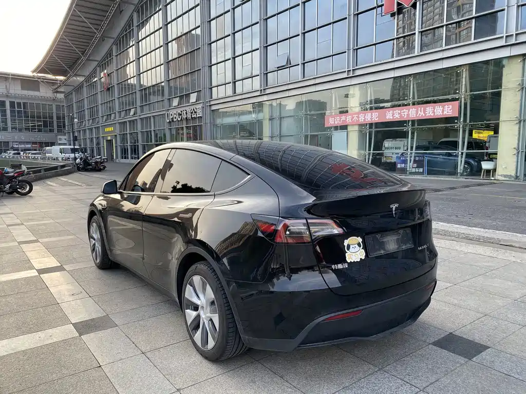 Tesla Model Y — миниатюра 6