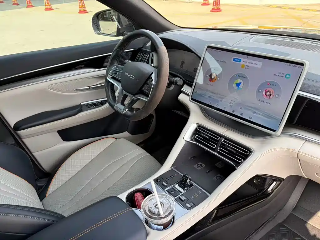 BYD PLUS New Energy — миниатюра 14