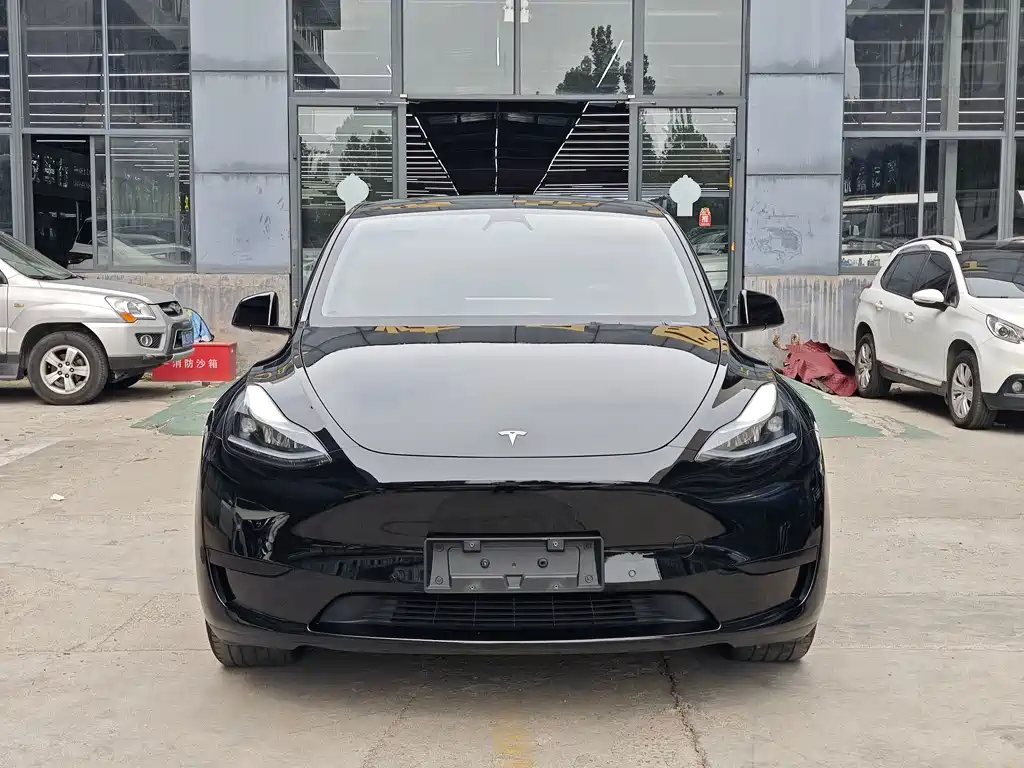 Tesla Model Y — миниатюра 2