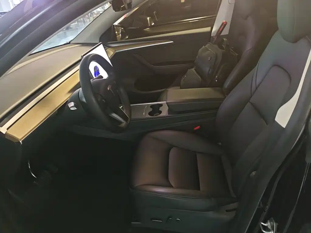 Tesla Model Y — миниатюра 15