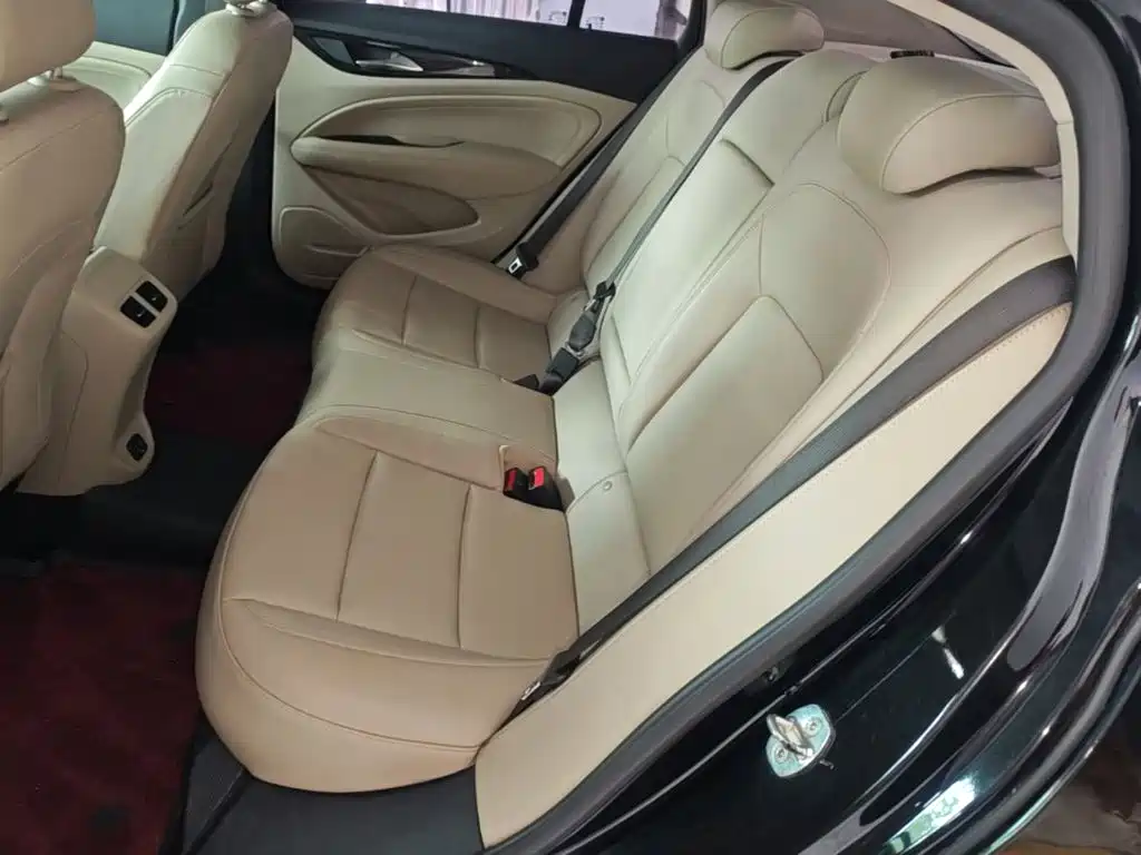 Buick Regal — миниатюра 17