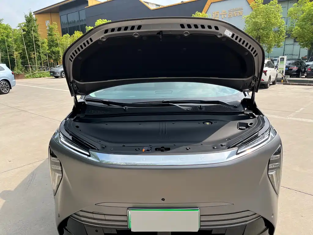 Buick Не похоже, что ты семья. — миниатюра 25