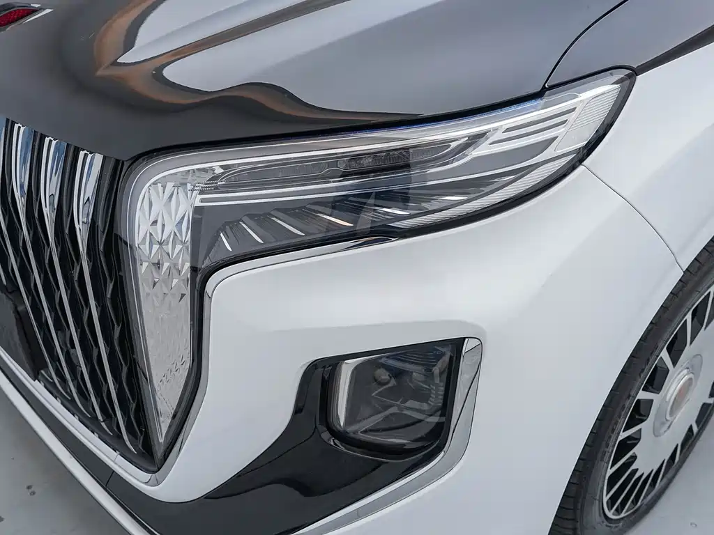 Hongqi Hongqi HQ9 — миниатюра 20