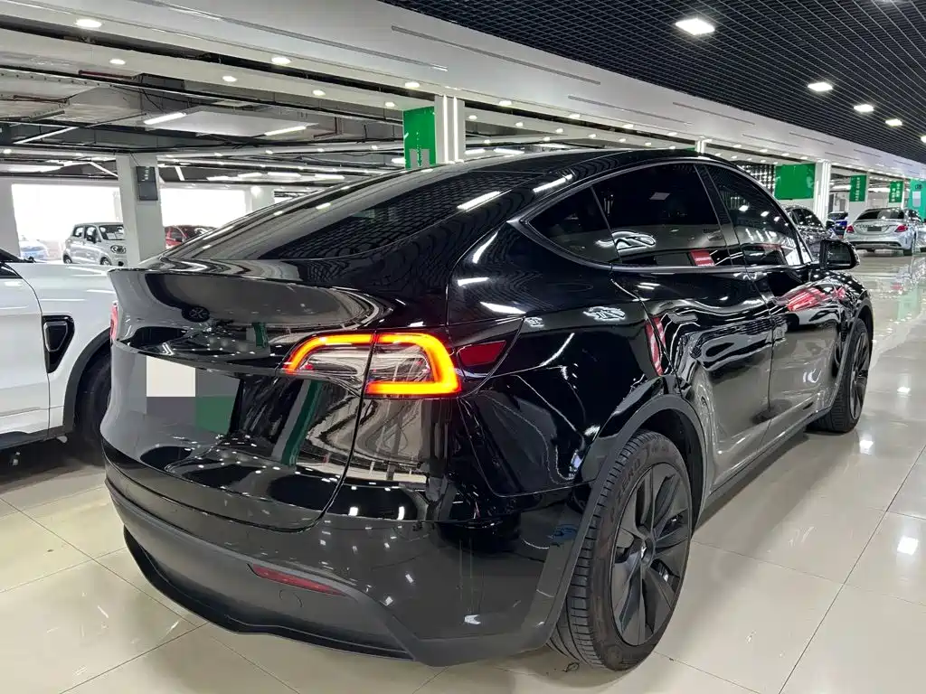 Tesla Model Y — миниатюра 8