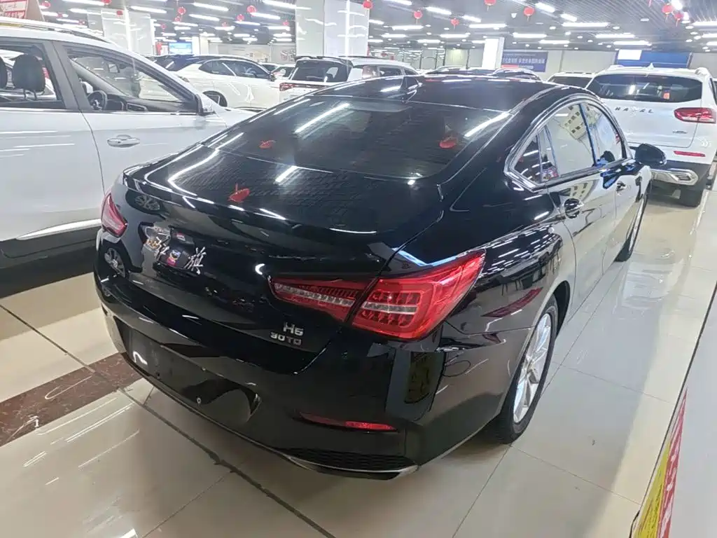 Hongqi Hongqi H5 — миниатюра 7
