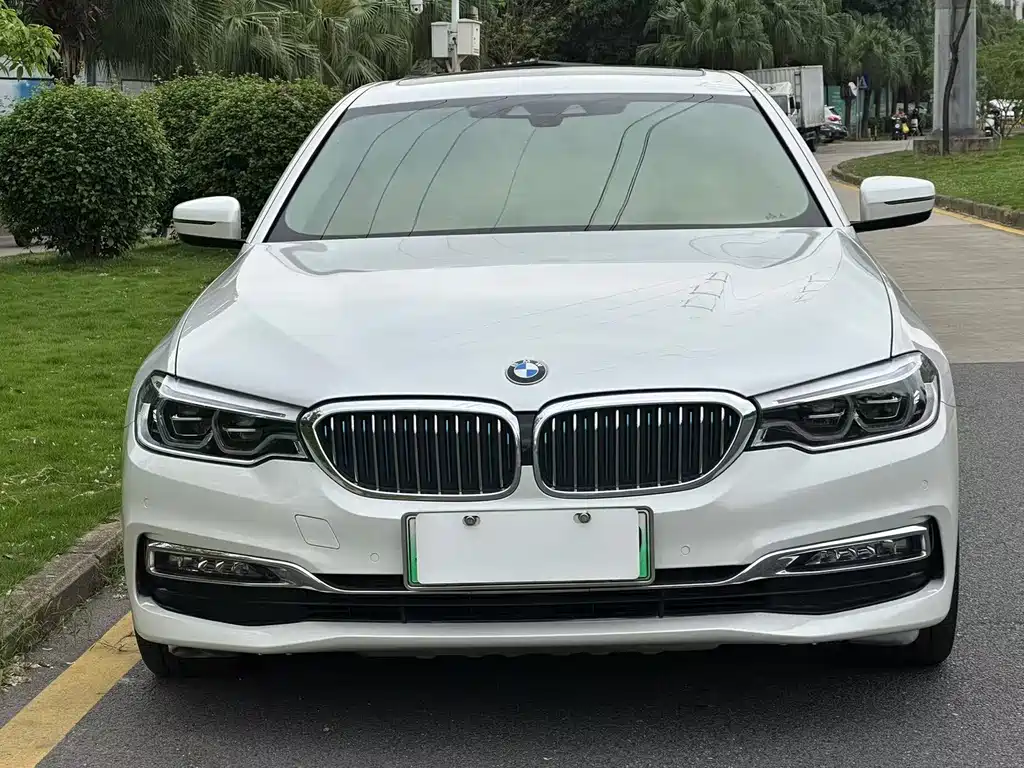 BMW 5 Series NEV 2019 530Le Luxury Package