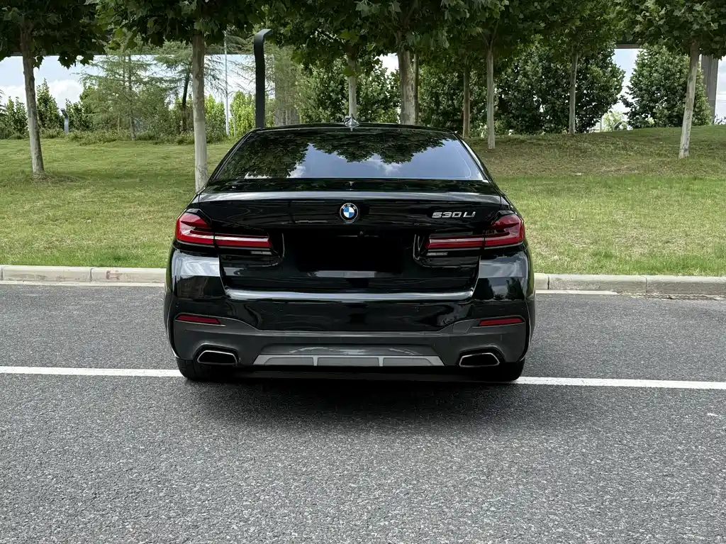 BMW 5 Series — миниатюра 3