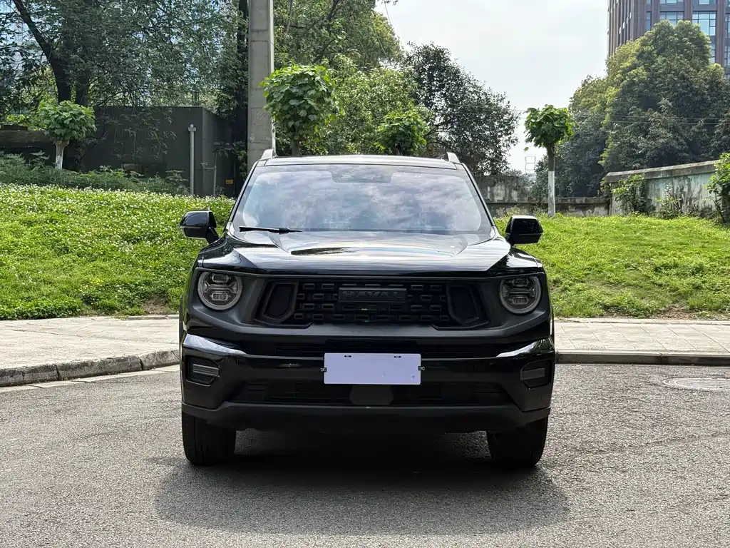 Haval Dargo PLUS PLUS 2023 2.0T Plus